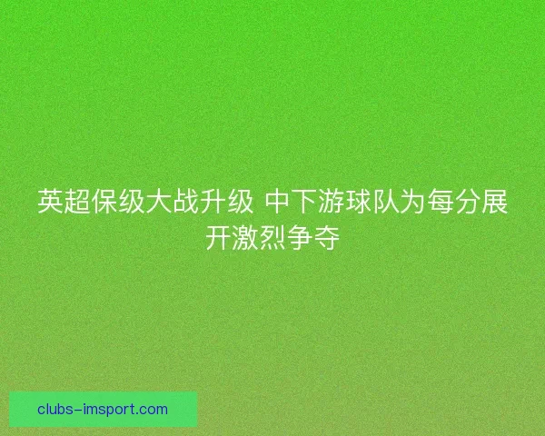 英超保级大战升级 中下游球队为每分展开激烈争夺