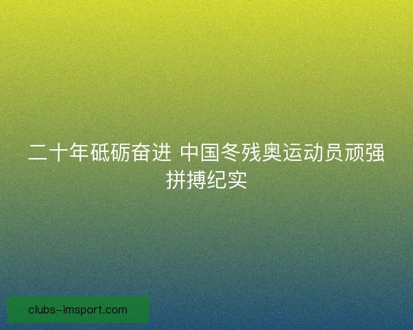 二十年砥砺奋进 中国冬残奥运动员顽强拼搏纪实